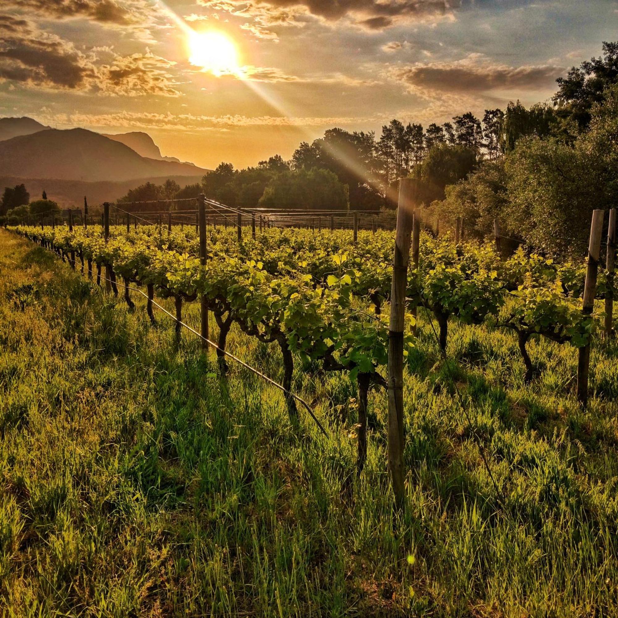 Glamping At The Well In Franschhoek Exteriér fotografie
